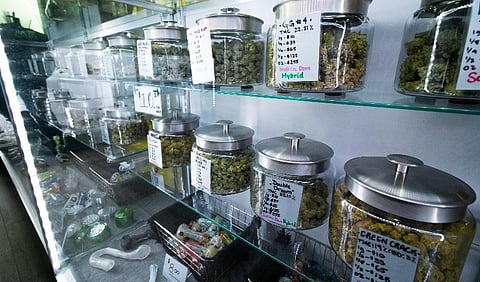 Recreational Marijuana Laws Tied to Increase in Workplace Injuries