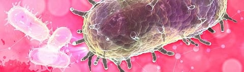 Yersinia pestis