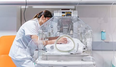 Phthalate Chemicals Tied to Costly Preterm Births in the United States