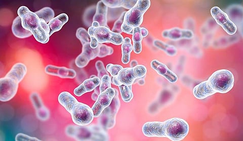 AGA Recommends Fecal Microbiota Transplant for Recurrent C. Difficile