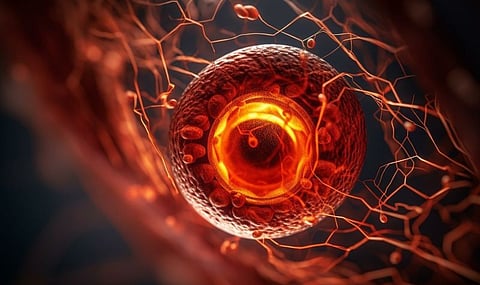 Diabetic Retinopathy Tied to Lower Vision-Related Quality of Life