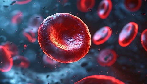 Rusfertide Treatment Beneficial for Patients With Polycythemia Vera