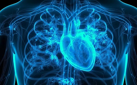 ASA: Stroke Survivors Face Twofold Higher Risk for MI One Year After Stroke