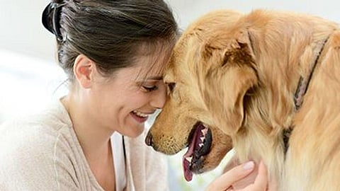 Seizure Dogs Can Reduce Seizure Frequency, Improve HRQoL in Epilepsy