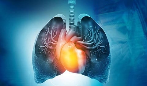 Ready-to-Eat Food Environment Linked to Risk for Heart Failure