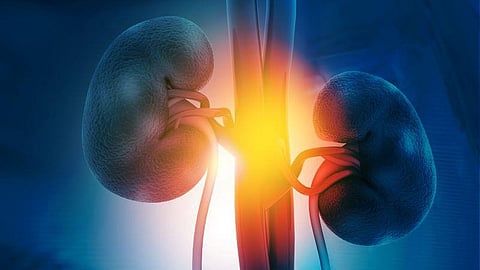 Systemic Inflammation Increases Risk for Chronic Kidney Disease
