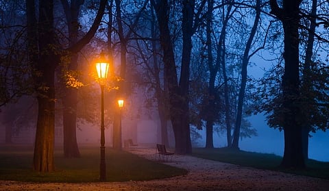 Outdoor Light at Night, Air Pollution Linked to Cerebrovascular Disease