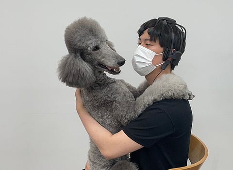 A participant gets a hug from the poodle involved in the study