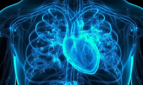 Deep-Learning Model Based on Chest X-Ray Helps Predict MACE