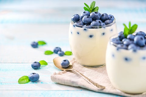 Yogurt Makers Can Make Limited Claims About Type 2 Diabetes Prevention: FDA