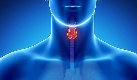 Risks for MACE, Mortality Lower After Surgery for Hyperthyroidism