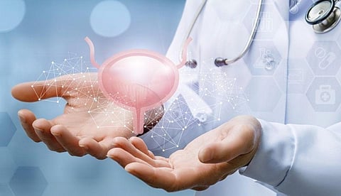 Food Insecurity Correlated to Higher Risk for Overactive Bladder