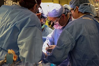 Surgeons performing the transplant