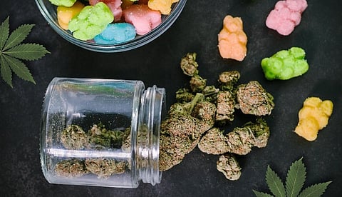 Prenatal Cannabis Use Disorder Increases Risk for Neurodevelopmental Disorders