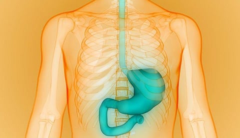 AACR: Cadonilimab Plus Chemo Beneficial for Gastric Adenocarcinoma
