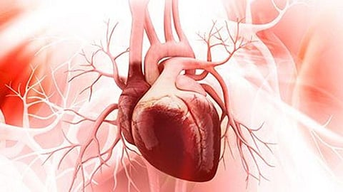 ACC: Coronary Artery Calcium Progression May Accelerate After Menopause