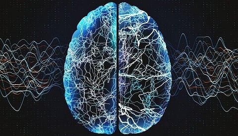 Structured Seizure Action Plan Beneficial for Adults With Epilepsy