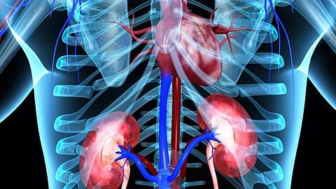 Vitamin D Deficiency Tied to Worse Outcomes With Early Kidney Disease