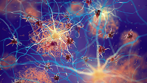 beta-amyloid tau plaque