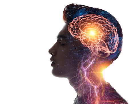 brain, meditation