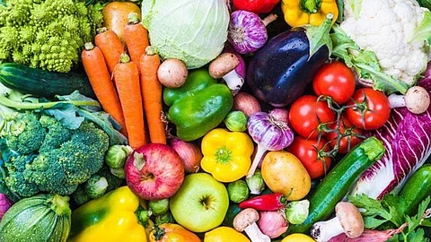Plant-Based Diets Tied to Long-Term Health Benefits