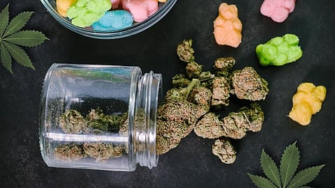 Risk From Regular Cannabis Use Perceived as Low in Women With Disabilities