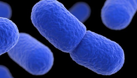 Listeria Risk Prompts Recall of Planters Peanut Products