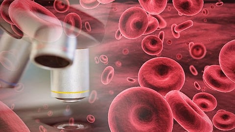 Disparities Seen in Carbapenem-Resistant Enterobacterales Bloodstream Infection Outcomes