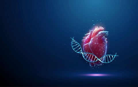 heart genetic genes