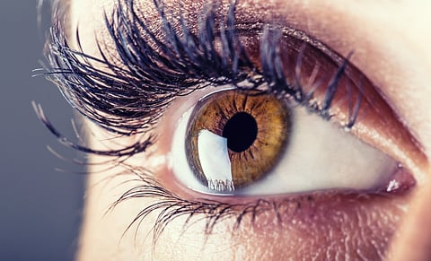 eye vision