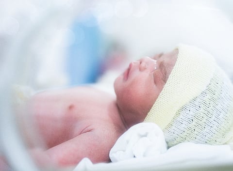 infant newborn premature