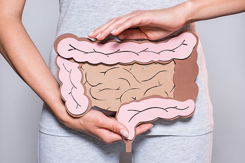 colon rectal