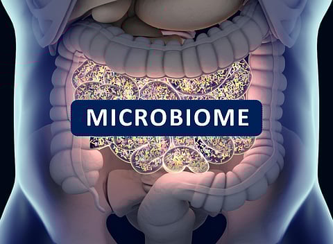 Microbioma