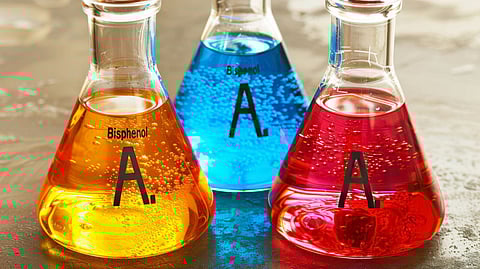 bisphenol A bpa