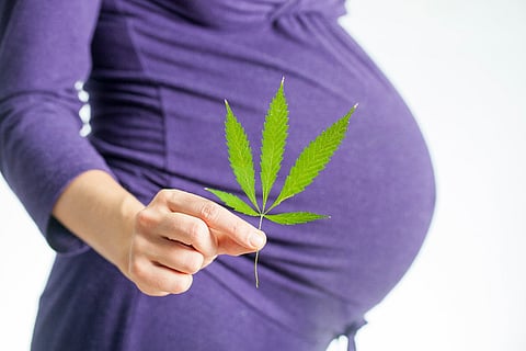 marijuana pregnancy