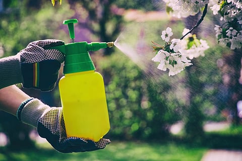 pesticide