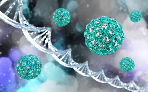 stem cell