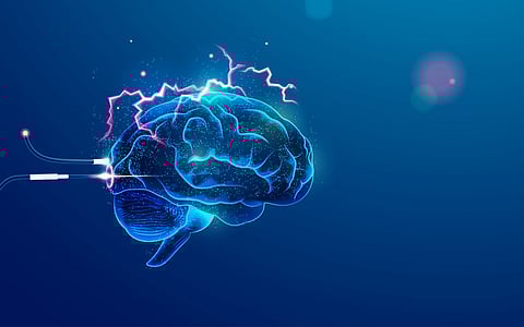 brain