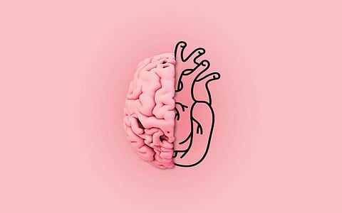 brain heart
