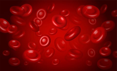 sangre