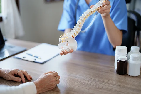 spine