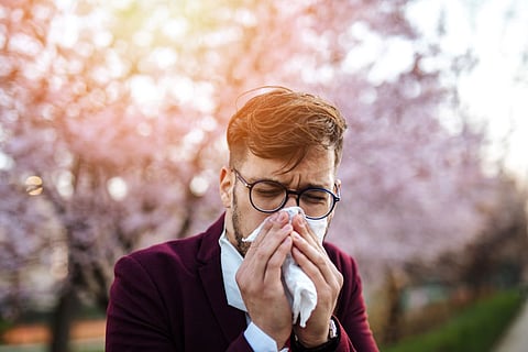 allergies nose sneeze rhinitis