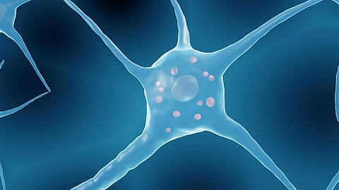 lewy body dementia