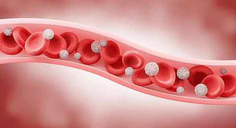 Blood vessel with flowing Red blood and White blood cells, 3D illustration