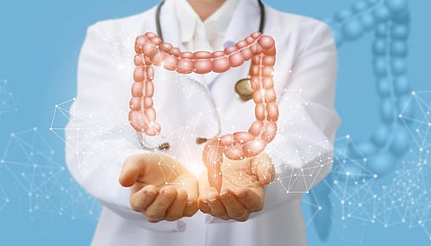 colon gut