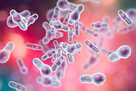 Bacteria Clostridium difficile, ilustración en 3D. Bacterias formadoras de esporas que causan colitis pseudomembranosa y se asocian con resistencia a los antibióticos nosocomiales
