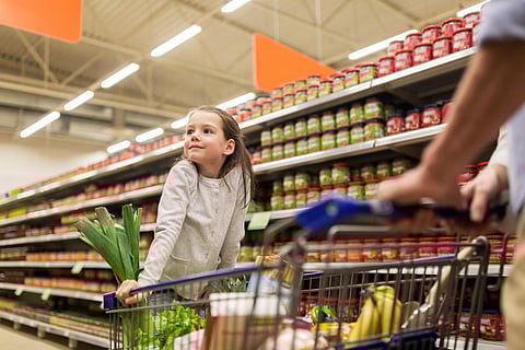 shopping grocery