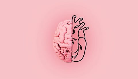 heart brain