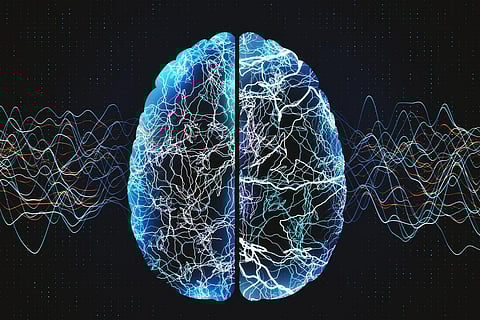 brain neurology multiple sclerosis Parkinsons Alzheimers ALS