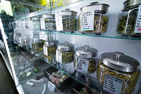 medical recreational cannabis